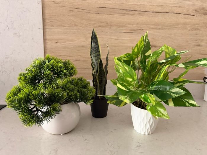 Artificial plants x3