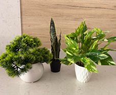 Artificial plants x3