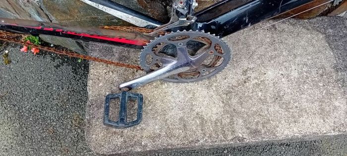 Giant Tcr Carbon Frame Swap/trade