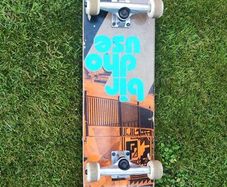Birdhouse Skateboard
