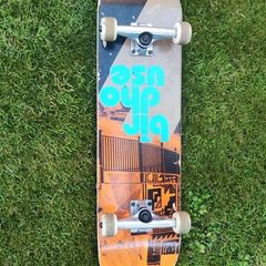 Birdhouse Skateboard