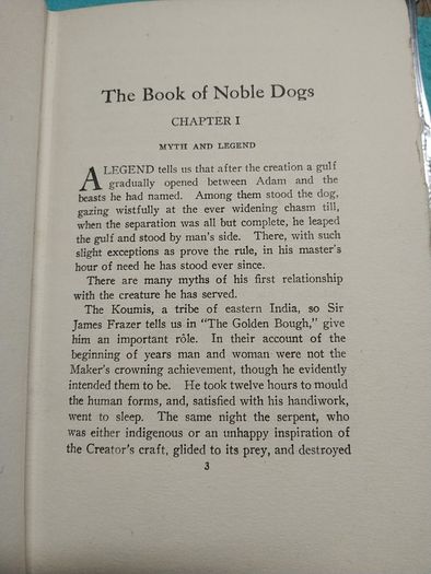 The Book of Noble Dogs - Estelle Ross