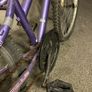 Apollo XC24 Single-Speed Bike Image 6