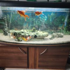 Fish tank