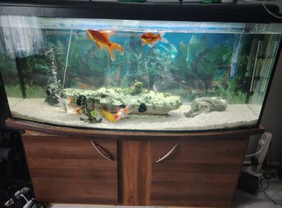 Fish tank
