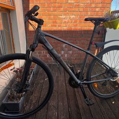 Trek Dual Sport 1