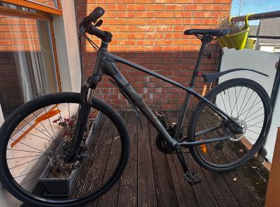 Trek Dual Sport 1