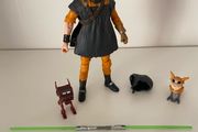 Star Wars the black series deluxe cal kiests