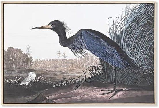 NEW 2 Large Format Framed Bird Artworks