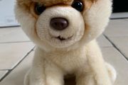 Gund Teddy Boo
