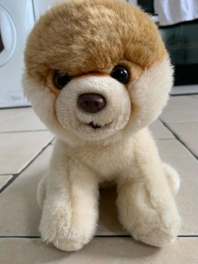 Gund Teddy Boo