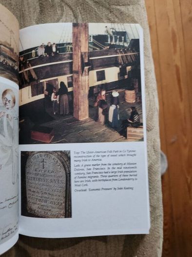 The Irish Famine. An Illustrated History By Helen Litton. First Edition Paperback In Good Condition.