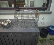 poutry transport cage