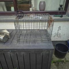 poutry transport cage