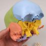 3B Scientific A291 Human Skull 22 part Model Image 5