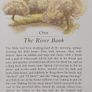 The Wind in the Willows by Kenneth Grahame & Inga Moore (Classic Illustrated Fantasy Paperback) Image 7