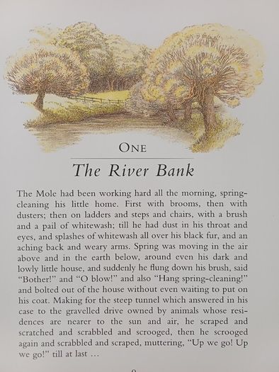 The Wind in the Willows by Kenneth Grahame & Inga Moore (Classic Illustrated Fantasy Paperback)