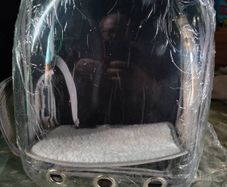 Kitten / Small Animal Carrier