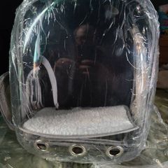 Kitten / Small Animal Carrier