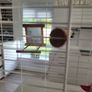 Bird cage (double) Image 4