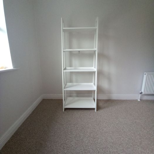 Ladder Shelf