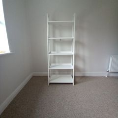 Ladder Shelf