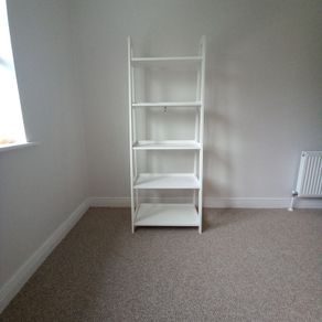 Ladder Shelf