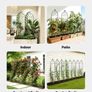 6 Packs Garden Flower Rose Trellises with Powder-Coated Finish & Convenient Locking Design 180 x 52.5 cm Image 3