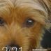 eddie.ryan.77964