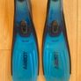 Flippers Image 2