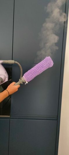 Portable Steam Cleaner
