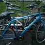 bikes Image 4