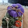 Autumnal crafts hand knit Image 10