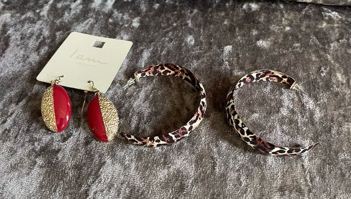 Earrings