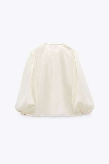 Zara Semi-Sheer Shirt With Ruffles