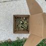 Easy Drive 7.5x150mm Concrete Screws Image 3