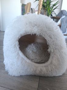 cat/dog bed