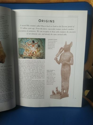 Giant Book of the Cat