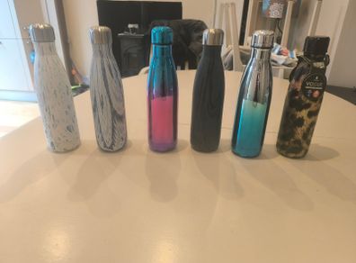 Stainless Steel Water Bottle