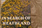 In Search Of Heathland By  Lee Chadwick.