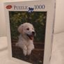 Lucky Dog 1000pc Jigsaw Puzzle Image 3