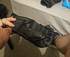 elion mma gloves