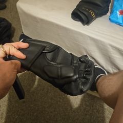 elion mma gloves