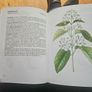 Natural Beauty Care With Flowers And Plants. B. Hlava, Z. Krejcova. Hardback In Good Condition.  See Photos For Same. Image 10