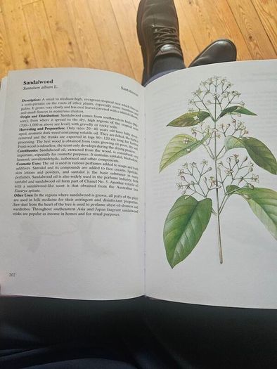 Natural Beauty Care With Flowers And Plants. B. Hlava, Z. Krejcova. Hardback In Good Condition.  See Photos For Same.