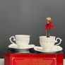Tea set gift box present limited edition Image 6