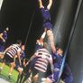 Leinster Rugby- Double Delight Image 5
