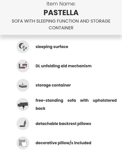 Sofa Bed. Sleeping fuction with Storage container. Comfortable sleep for your guests. High quality materials. Impeccable condition. Decorative pillows included.