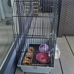 Bird cage