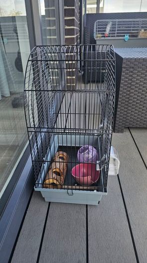 Bird cage